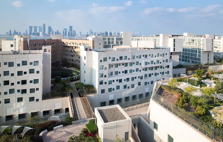 New York times University Abu Dhabi